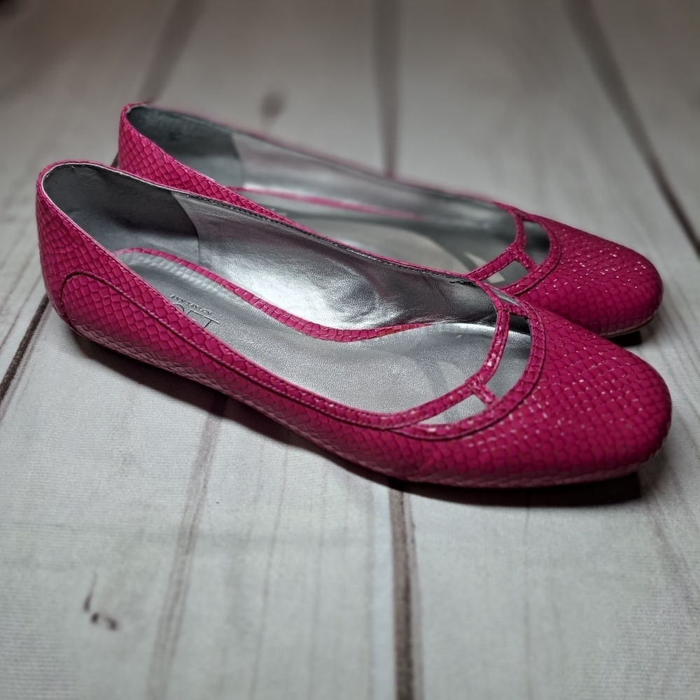 Ann Taylor LOFT Animal Print Flats Size 8 M